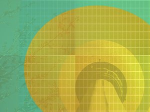 数据分片怎么买？避坑选购全攻略